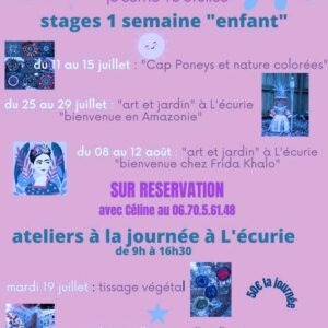 stage aout